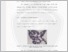 [thumbnail of 8._BAB_5.pdf]